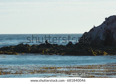 Similar – drained Beach Nature Sand