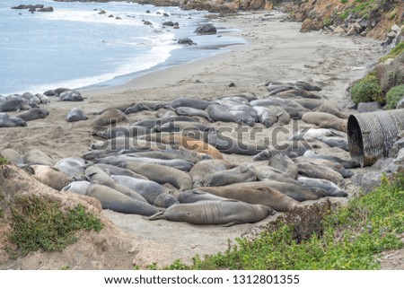 Similar – Image, Stock Photo floating state Ocean