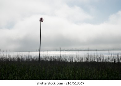 Sea Mark And Morning Mist At Randers Fjord