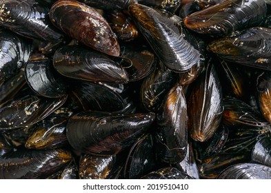 Sea Mussels Background, Mediterranean Food. Overhead