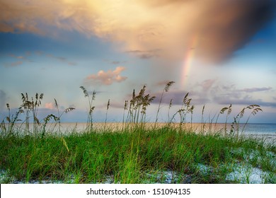 Sea oats growing on beach with rainbow and clouds in background at sunrise