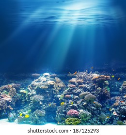 Sea Or Ocean Underwater Coral Reef