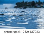 sea ​​rocks on the beach with views of the sea with beautiful breaking waves in the background