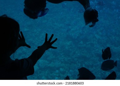Sea panorama boat on the water with passengers watching fishes. Silhouettes against the background of turquoise water under a boat with a transparent bottom. Tourist on the bathyscaphe in the Red Sea - Shutterstock ID 2181880603