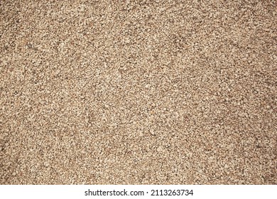 Sea pebbles. Small stones gravel texture background. Pebble on shingle beach. small pebble and stone texture. Pebble background. Gravel pebble or rock fragments - Shutterstock ID 2113263734