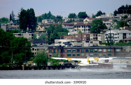 Sea Plane On Union Bay Lake, Seattle, USA