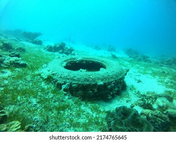 Sea Pollution In Metals And Other Garbage In The Red Sea
