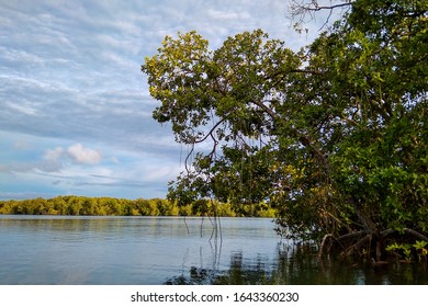 Sea ​​side Port Of Siberut Mentawai West Sumatera