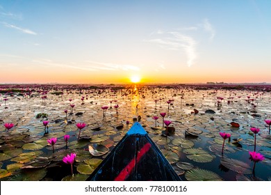 The Sea Of Red Lotus, Thailand