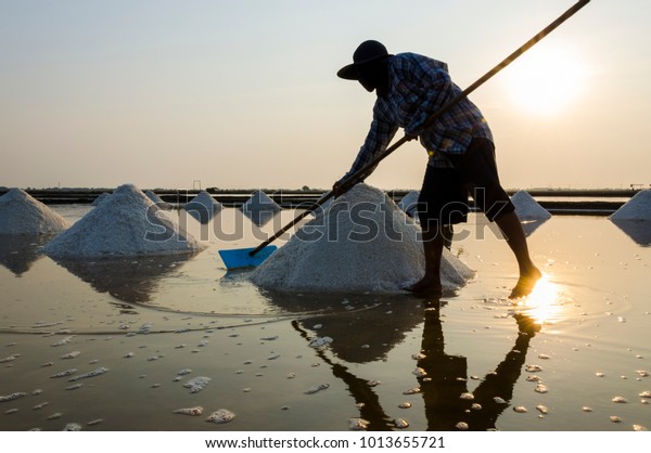 Sea salt process made from pile of salt in the\
salt pan by salt worker at rural area of Thailand,Samut\
Songkhram,Samut Sakhorn