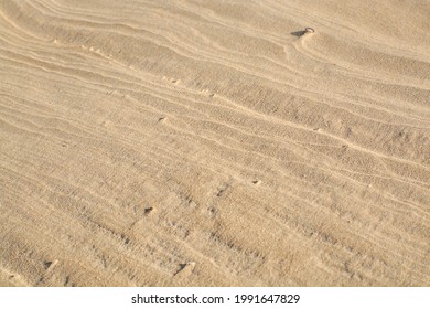 Sea Sand Patterns Made By The Wind, Shot In The Mid Day Sun. 