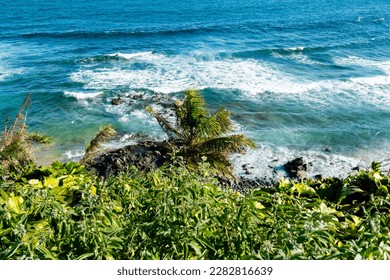 Sea seen from above on a hot day. Trees on the hill. Salvador, Bahia. - Shutterstock ID 2282816639