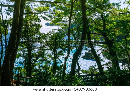 Similar – View of the turquoise sea in Canada framed by coniferous forest