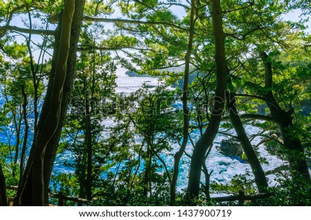 Similar – View of the turquoise sea in Canada framed by coniferous forest