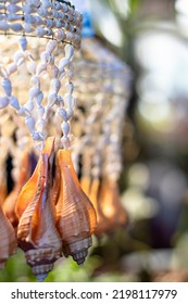 Sea Shell Chandelier Close Up