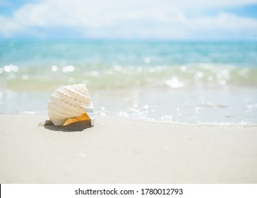 Sea Shell Conch On White Sand Beach With Blur Image Of Blue Sea And Blue Sky Sunshine On Day Background. Beautiful Bokeh Shore Water With Sunshine Day. Tourist Ocean Tropical.travel Summer.seashell.