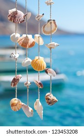 Sea Shell Decoration