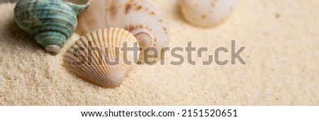 Sea shell on sand as seashore background banner with copy space.