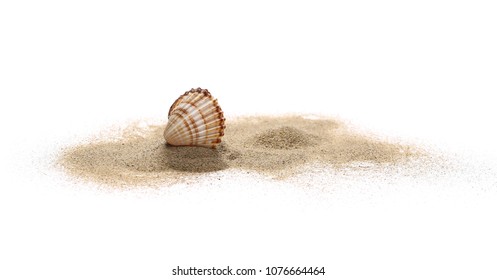Sea shell in sand pile isolated on white background - Shutterstock ID 1076664464