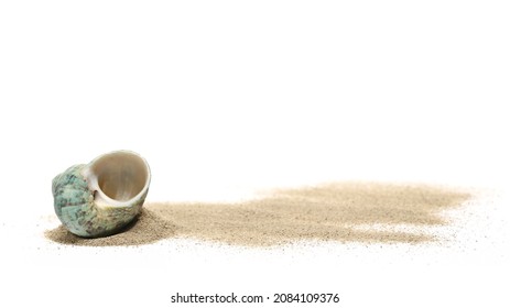 Sea shell in sand pile isolated on white background - Powered by Shutterstock