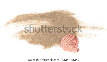 Sea shell in sand pile isolated on white, top view