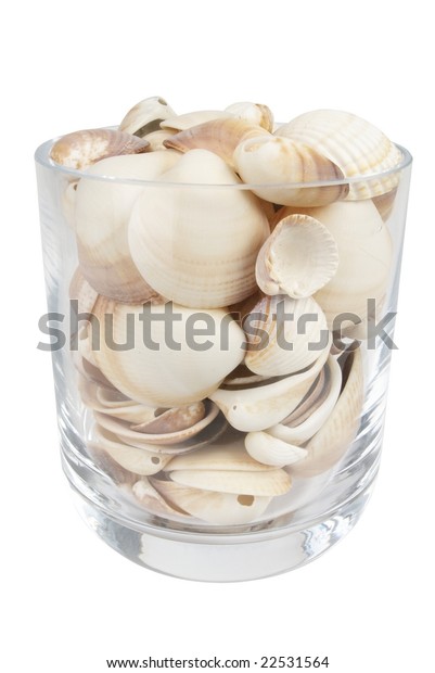 Sea Shell Vase Stock Photo Edit Now 22531564