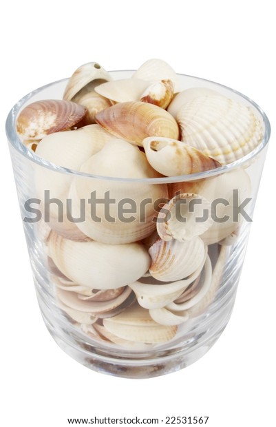 Sea Shell Vase Stock Photo Edit Now 22531567