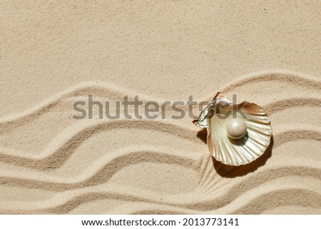 Sea shell with white pearl on sand background. Top view