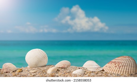 1,366 High Resolution Beach Photos Images, Stock Photos & Vectors ...