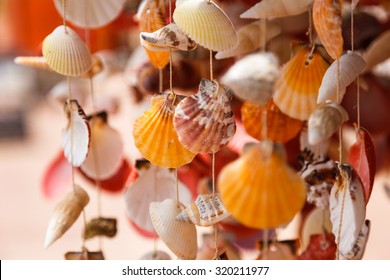 Sea Shells Close Up In Santa Maria Beach In Cape Verde