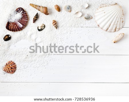 Sea shells, a mark in the shape of the foot on the white sand, on a white wooden background. Nautical background. Text space. Top view.
