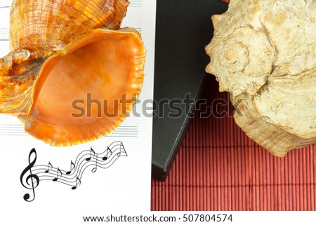 Sea shells and musicnotes on red mat