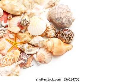 Sea Shells On White Background