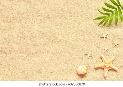 Sea Shells And Palm On The Sand Background. Summer Beach