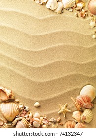 Sea Shells With Sand As Background