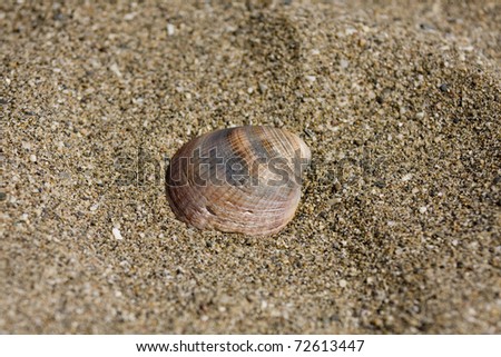 Strandspaziergang Farbfoto