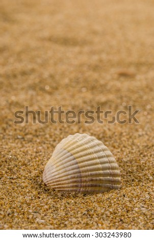 Similar – Strandspaziergang Farbfoto