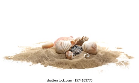 Sea shells in sand pile isolated on white background - Shutterstock ID 1574183770