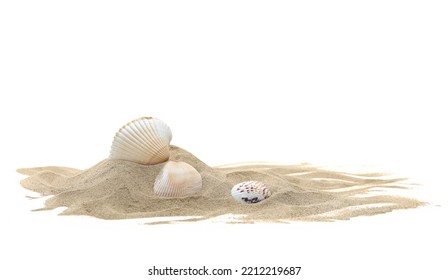 Sea shells in sand pile isolated on white background - Shutterstock ID 2212219687