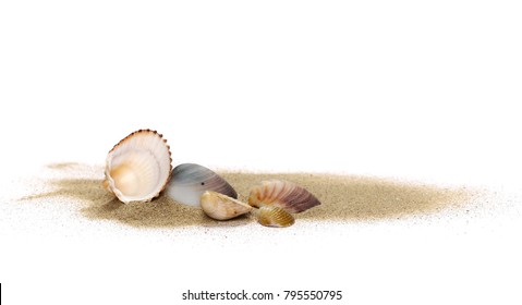 Sea Shells In Sand Pile Isolated On White Background