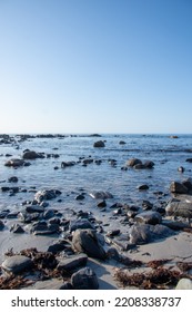 Sea Shore Of Cape Jervis