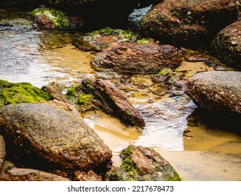 Sea Shore Rocks In Brazil