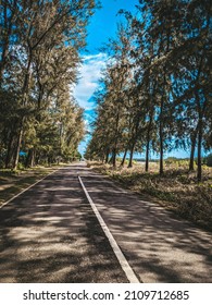 Sea Side Road On Mystery Land