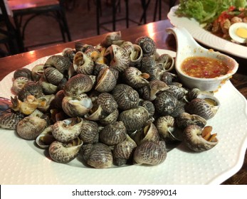 Sea Snails Seafood Stock Photo 795899014 | Shutterstock