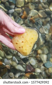 Sea Sponge In The Hand In Sea Water On The Beach Background. 