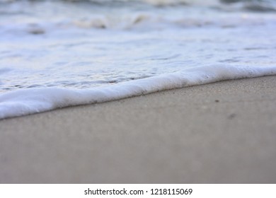 The sea sponge that was surfaced to the shore looked like a soft blanket covering the sand. - Shutterstock ID 1218115069
