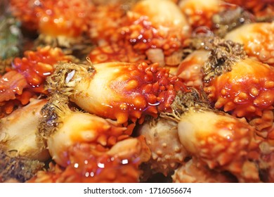 Sea squirts for sale at Jagalchi Fish Market near Nampo-dong, Busan, Korea - Shutterstock ID 1716056674