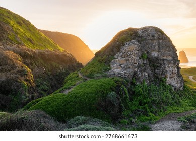 A sea stack rises from the Pacific Ocean at Davenport Beach, California, as soft waves and warm sunset light reflect on wet sand, creating a calm and scenic coastal view