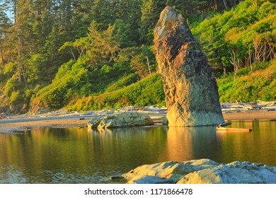 Sea Stack Rock formation at Ruby Beach in the Pacific Northwest in late afternoon 