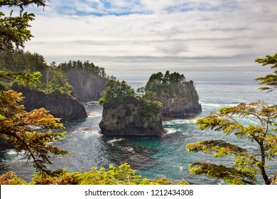 Sea Stacks Off Of Cape Flattery, Makah Reservation, Olympic National Park, Washington State, USA